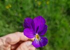 imgpreview-name-mising
