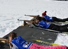 Séjour "Sensations nordiques" au Chalet des Alpes_Le Bessat