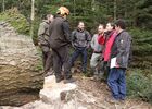 imgpreview-name-mising