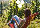 Séjour spécial "Vignobles en Scène"_Tupin-et-Semons