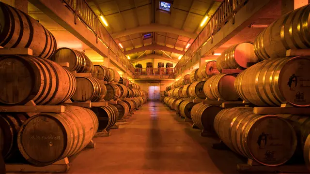 Visite guidée de la Distillerie des Menhirs