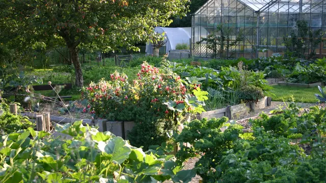 Visite et activités du centre permacole et pédagogique Jardin LuneSoleil