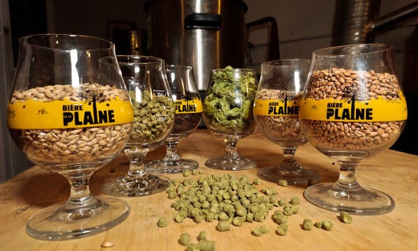 Journée de brassage