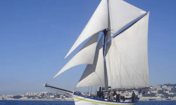 Demi-journée croisière sur La Flaneuse
