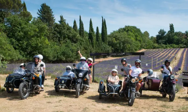 Circuit des lavandes et vignobles en sidecar : 2h,4h ou 6h (juin à septembre)