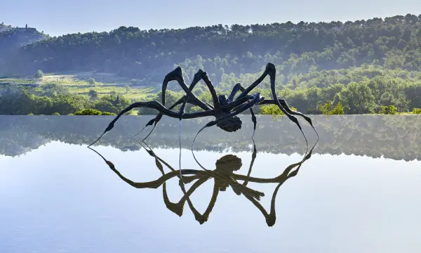 Instant Château La Coste, Vignoble et Centre d'Art (tour privé)