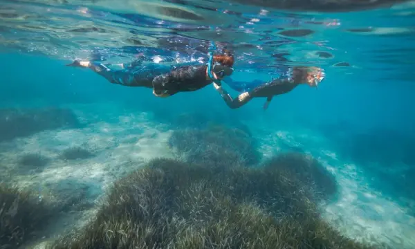 Snorkeling Trip to the Frioul Islands
