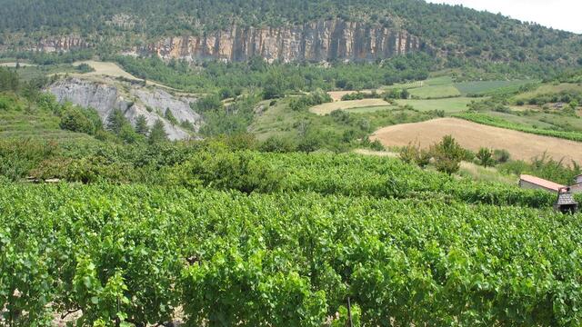 Balade paysanne et gourmande au Domaine Viticole de la Cardabelle