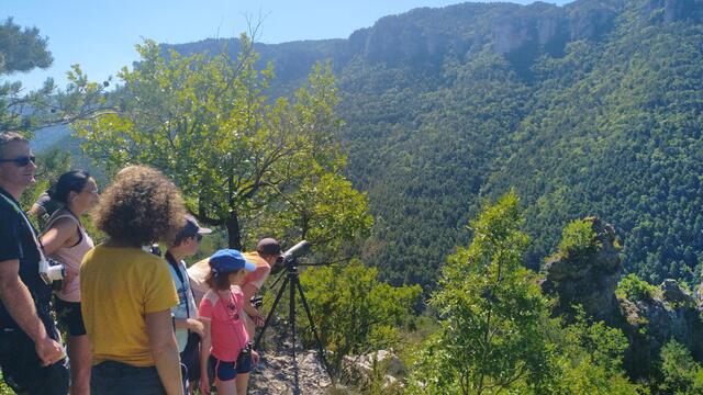 Sous les ailes des vautours - Maison des accompagnateurs