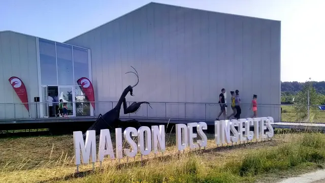 Visite de la Maison des Insectes