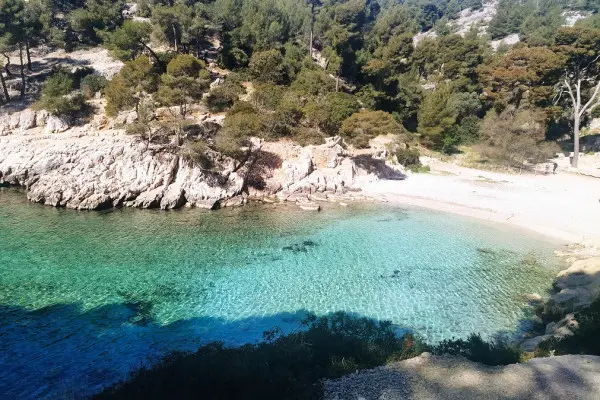 Hike 2 Calanques Cassis with swimming