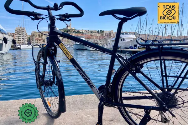 Classic touring bike rental