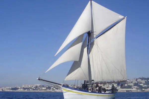 Half-day cruise aboard a traditional sailing boat