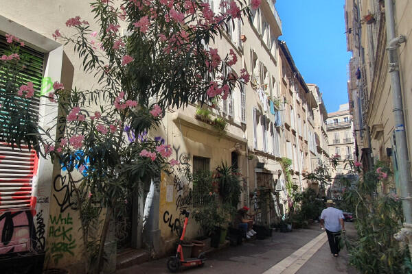 Balade buissonnière, la biodiversité en ville