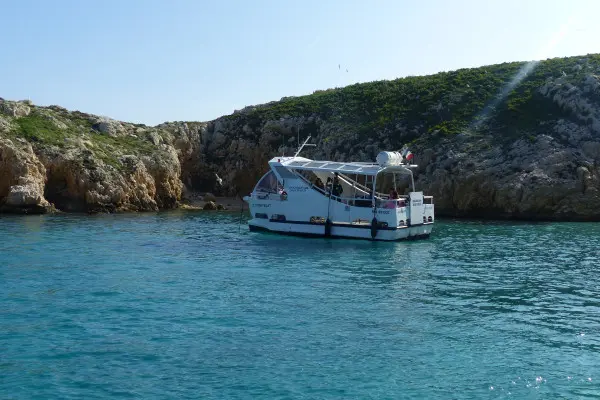 Circuit écologique 2h : la biodiversité des îles de Marseille