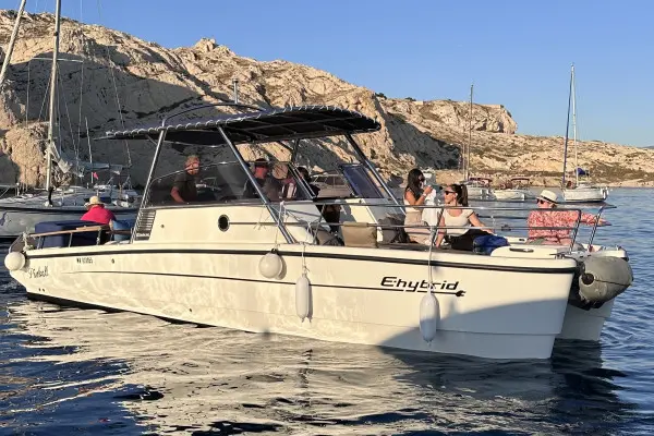 Half-day cruise and swimming in the Calanques National Park - Mucem