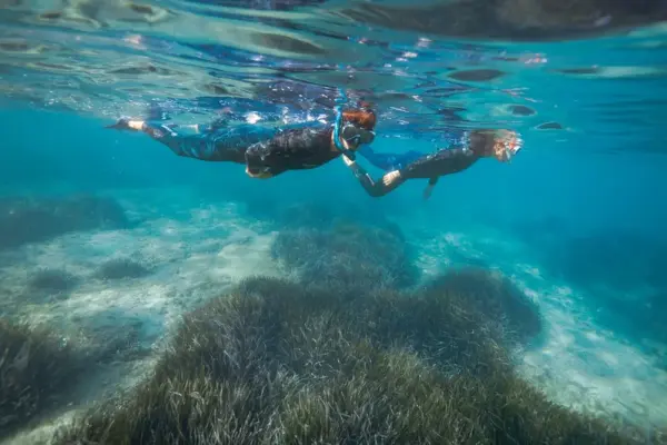 Excursion de snorkeling aux îles du Frioul
