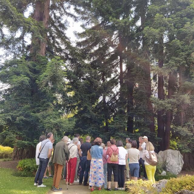Le jardin de Kofu, le Japon à Pau