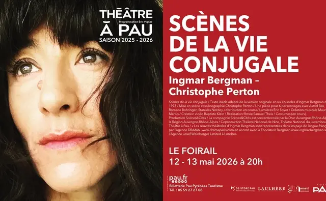 SCÈNES DE LA VIE CONJUGALE