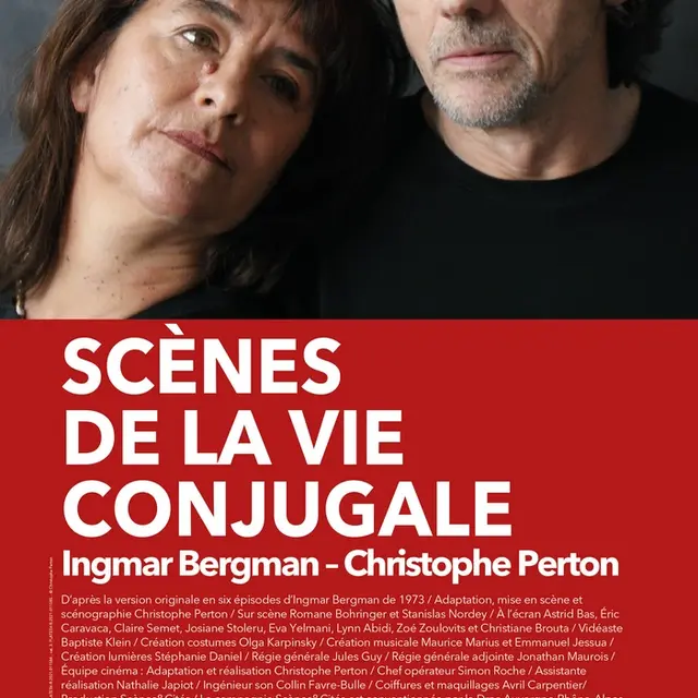 SCÈNES DE LA VIE CONJUGALE