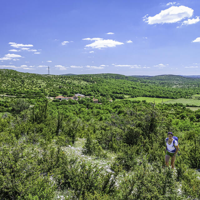 A la découverte du Larzac