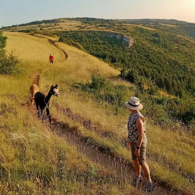 De la lumière à l'ombre  - Aux couleurs Alpagas