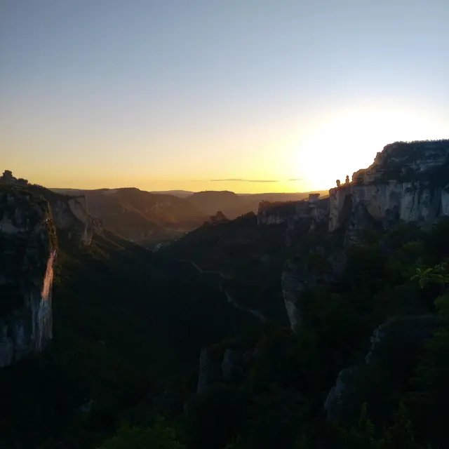 Soirée chez les vautours - MDA