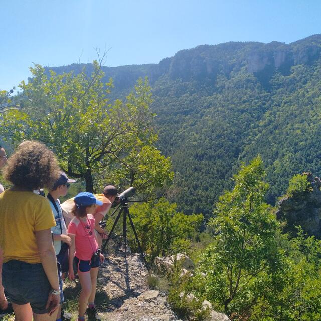 Sous les ailes des vautours - Maison des accompagnateurs
