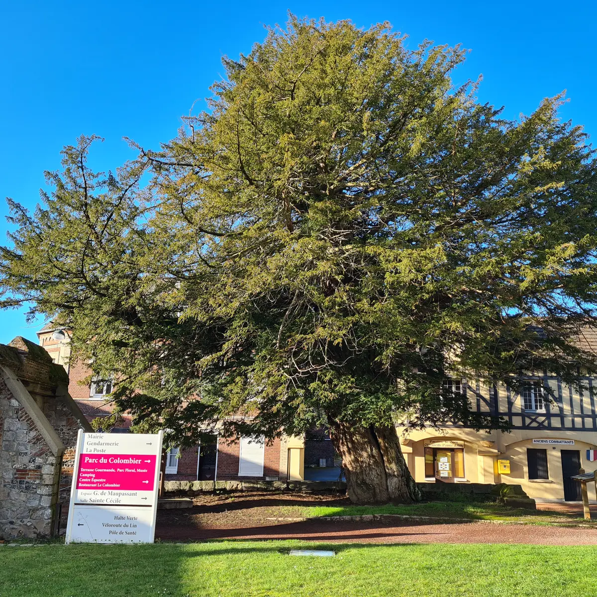 If millénaire d'Offranville