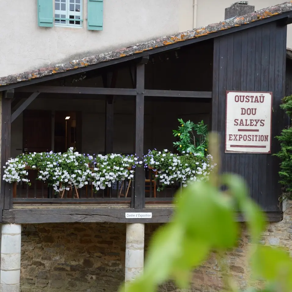 Oustau dou Saleys
