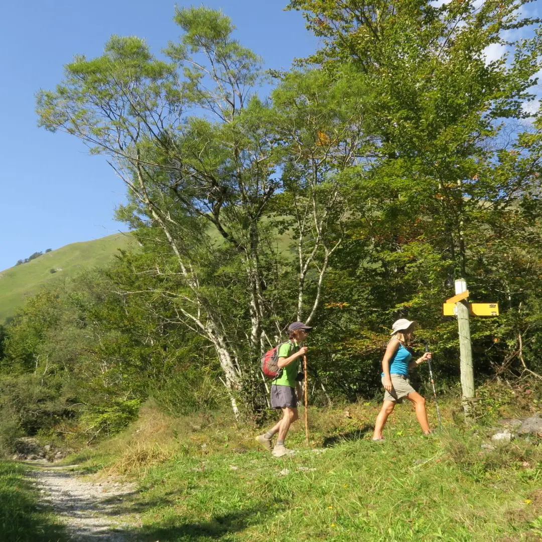 N° 32 CABANE LAITERINE PAR LE COL D'ISEYE