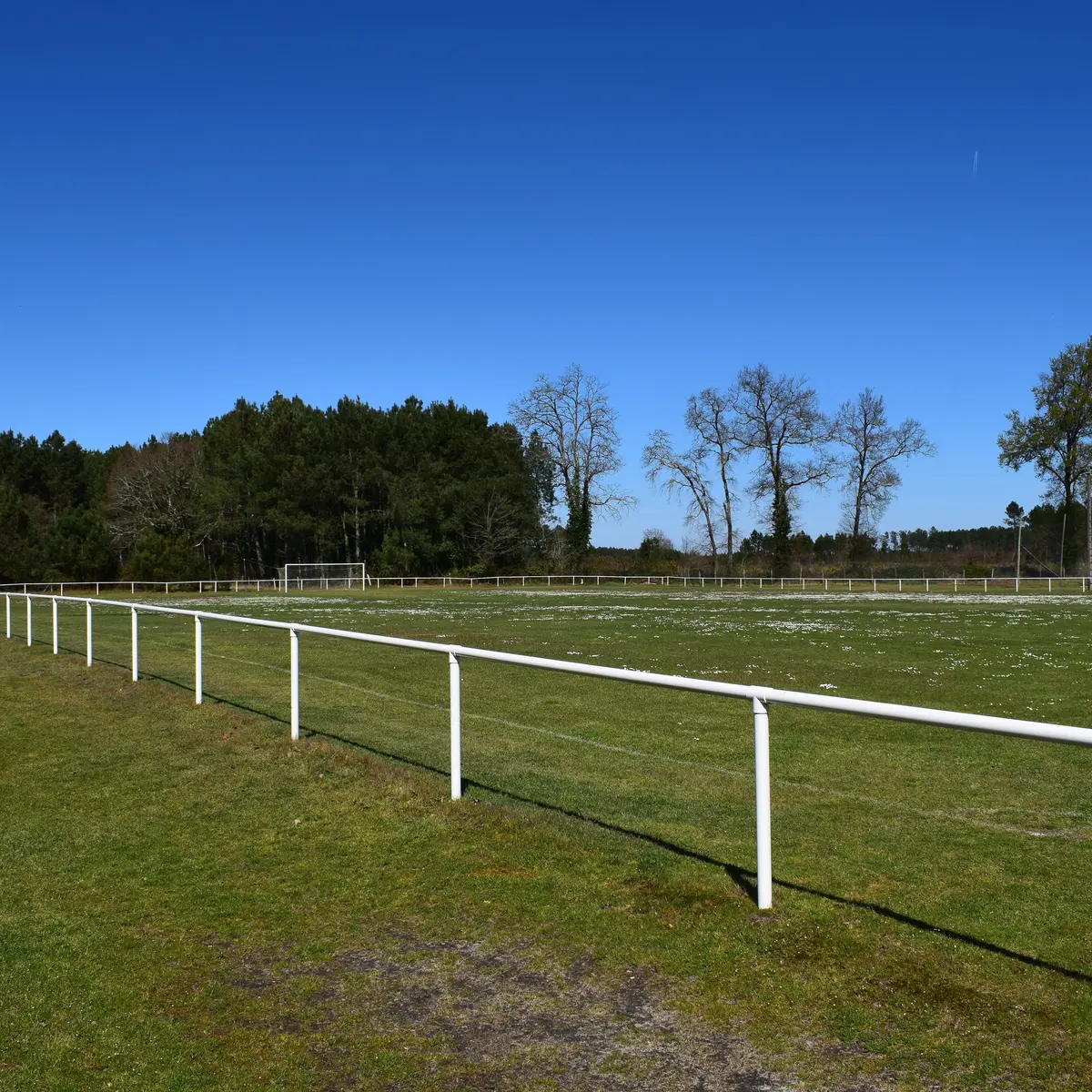 CLNT - TALLER - Terrain de foot (2)