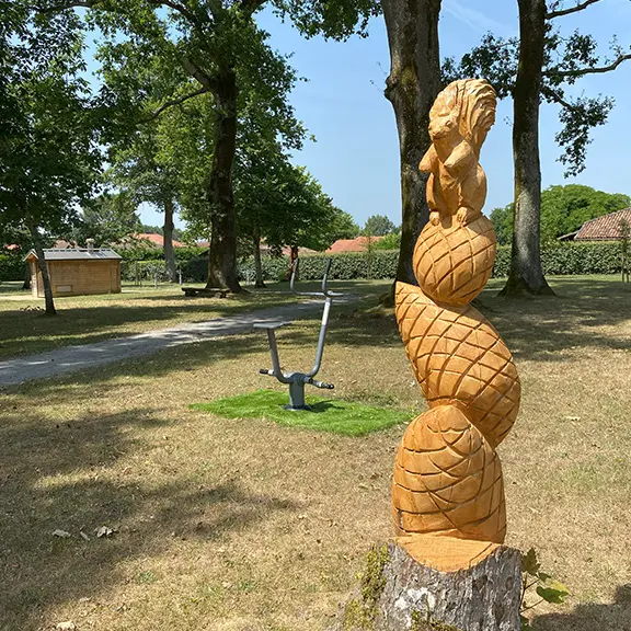 CLNT-LINXE-Parc Dufau (15)