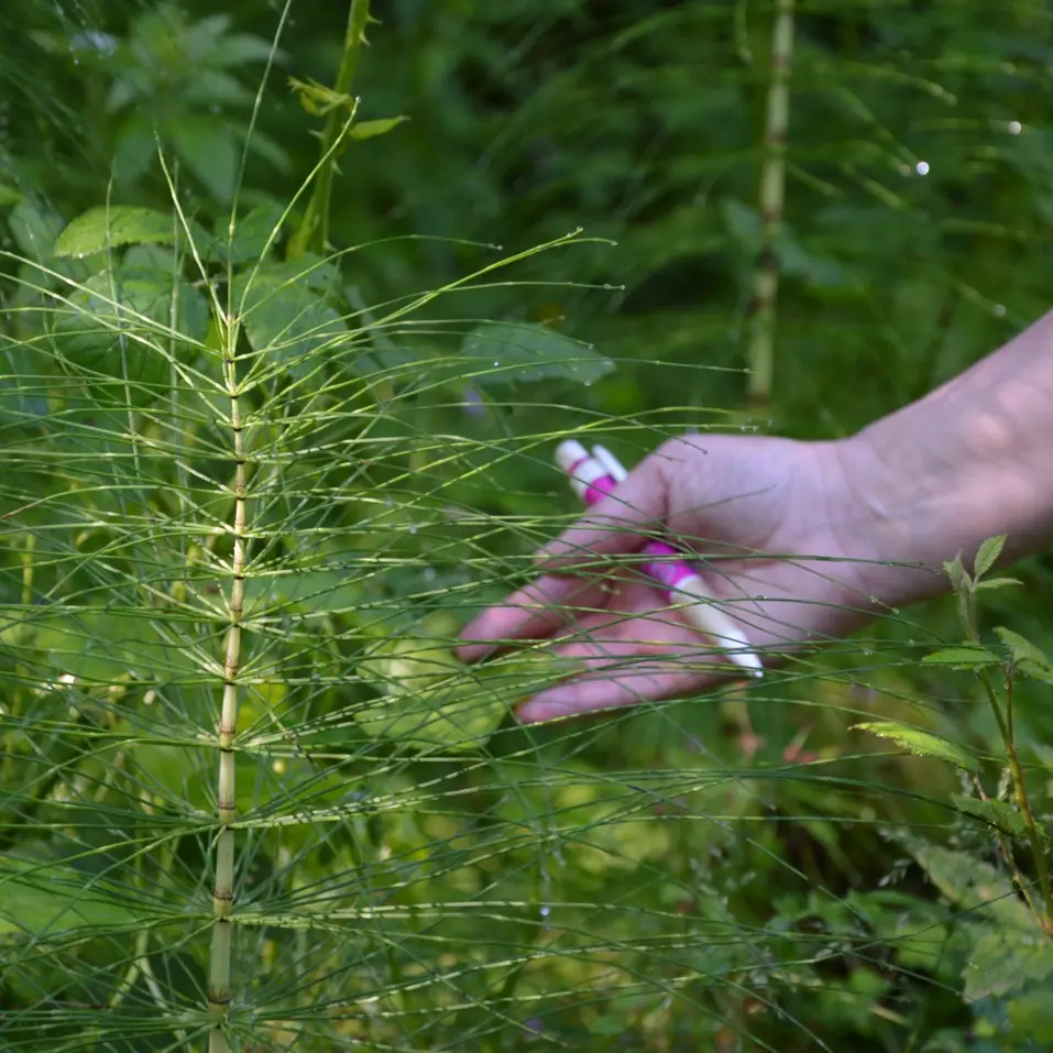Parcours de découverte de Salies-de-Béarn