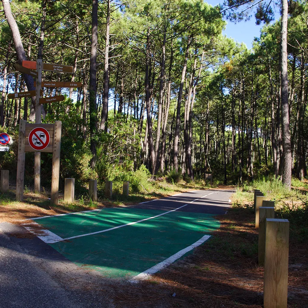 FERNANDES Marie - CONTIS - Piste cyclable (3)_Web