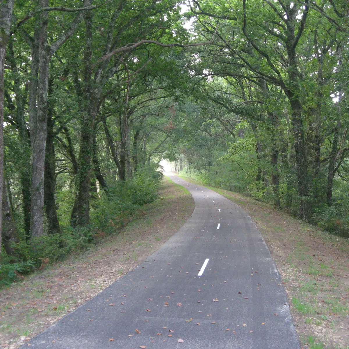 PRADET Marynette - LEVIGNACQ - Piste cyclable