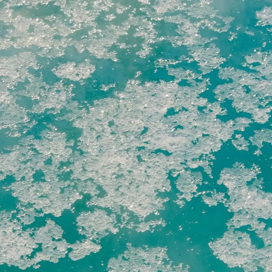 Pôle Muséographique des salines