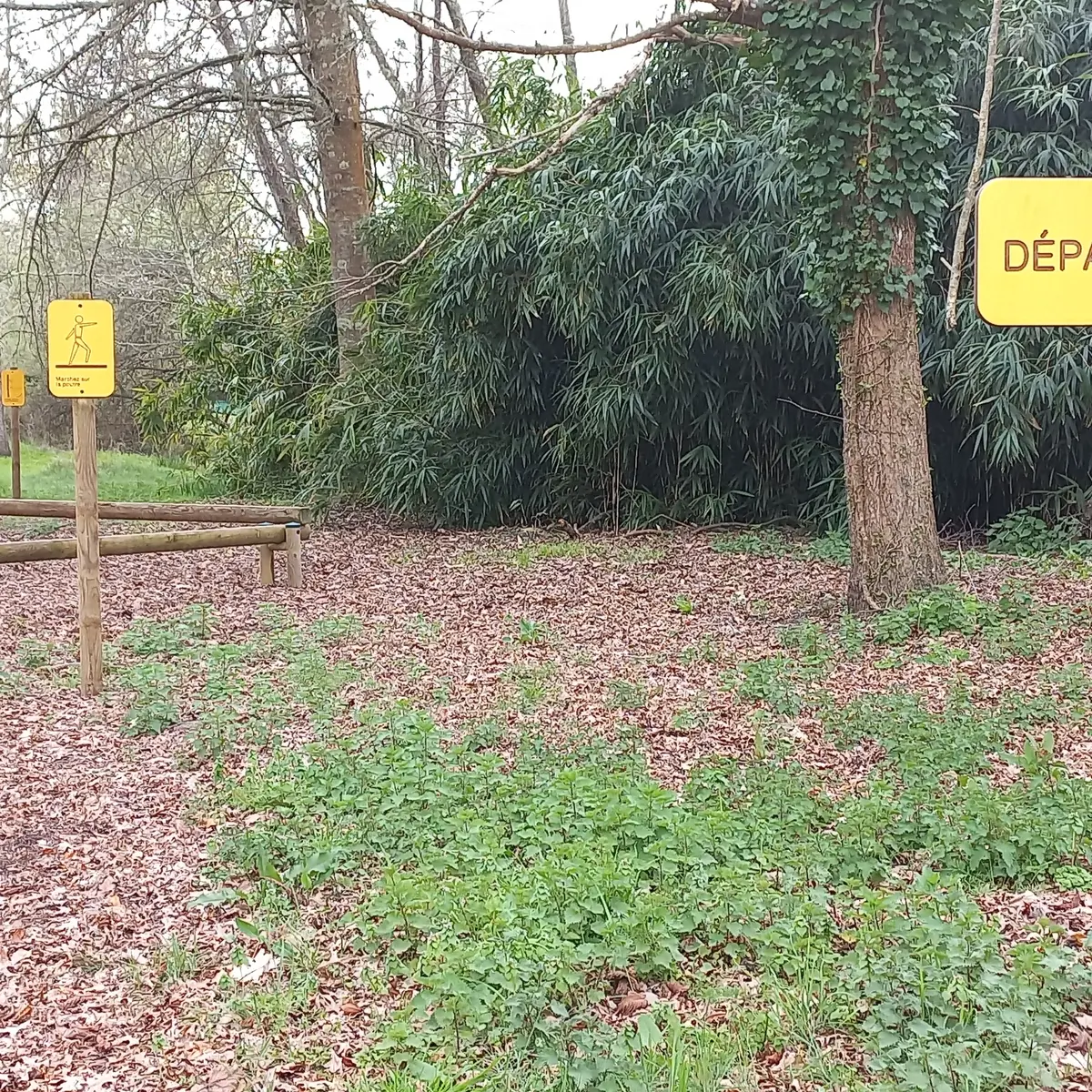 VSG_Parcours santé_Bénédicte (3)