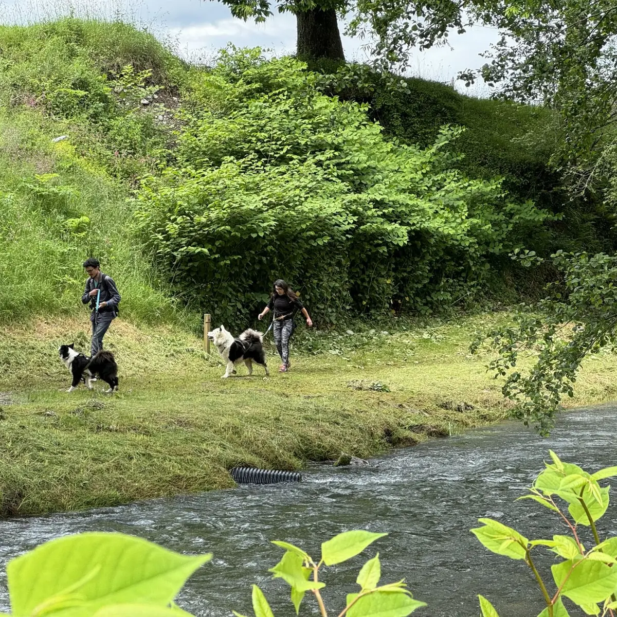 N°18 - Le chemin de la transhumance