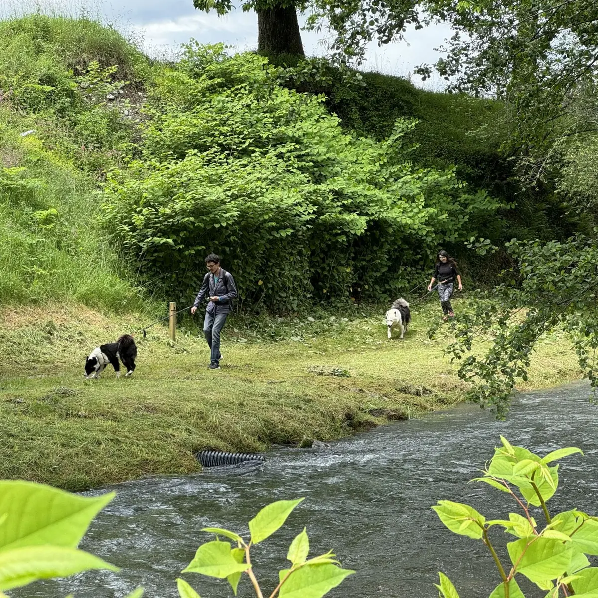 N°18 - Le chemin de la transhumance