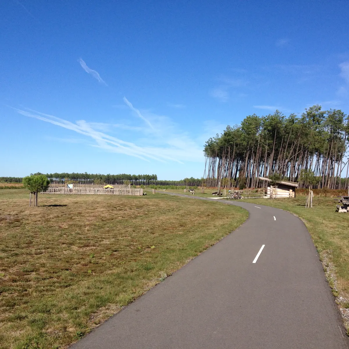 © FERNANDES Marie - LINXE - Piste cyclable Lo Camin de Hè et aire de repos (6)