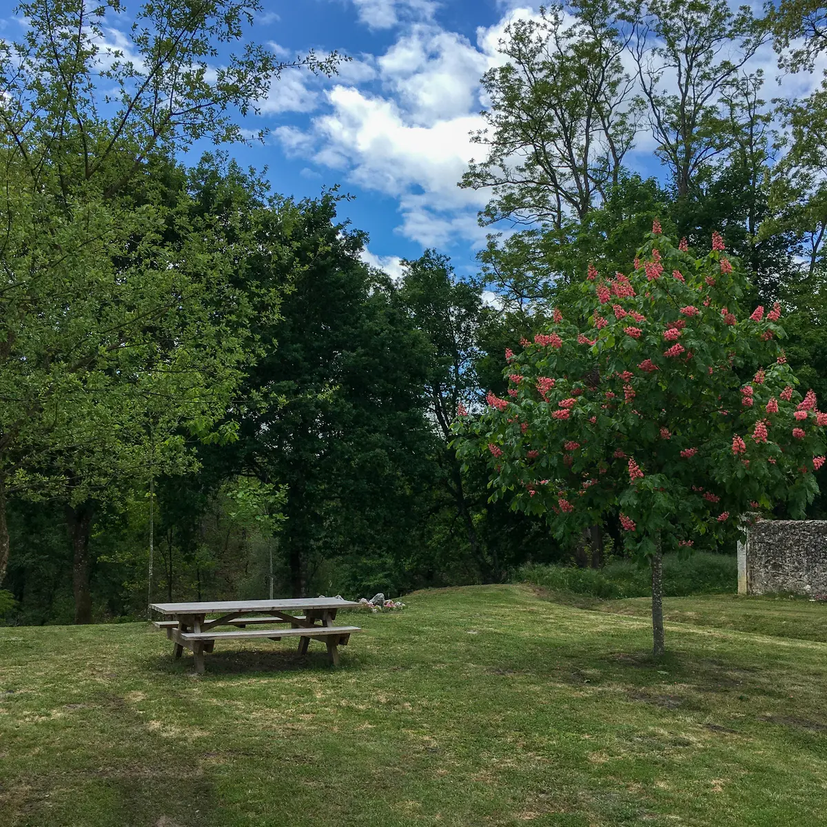 ©FERNANDES Marie - TALLER - Aire de pique-nique cimetière (1)