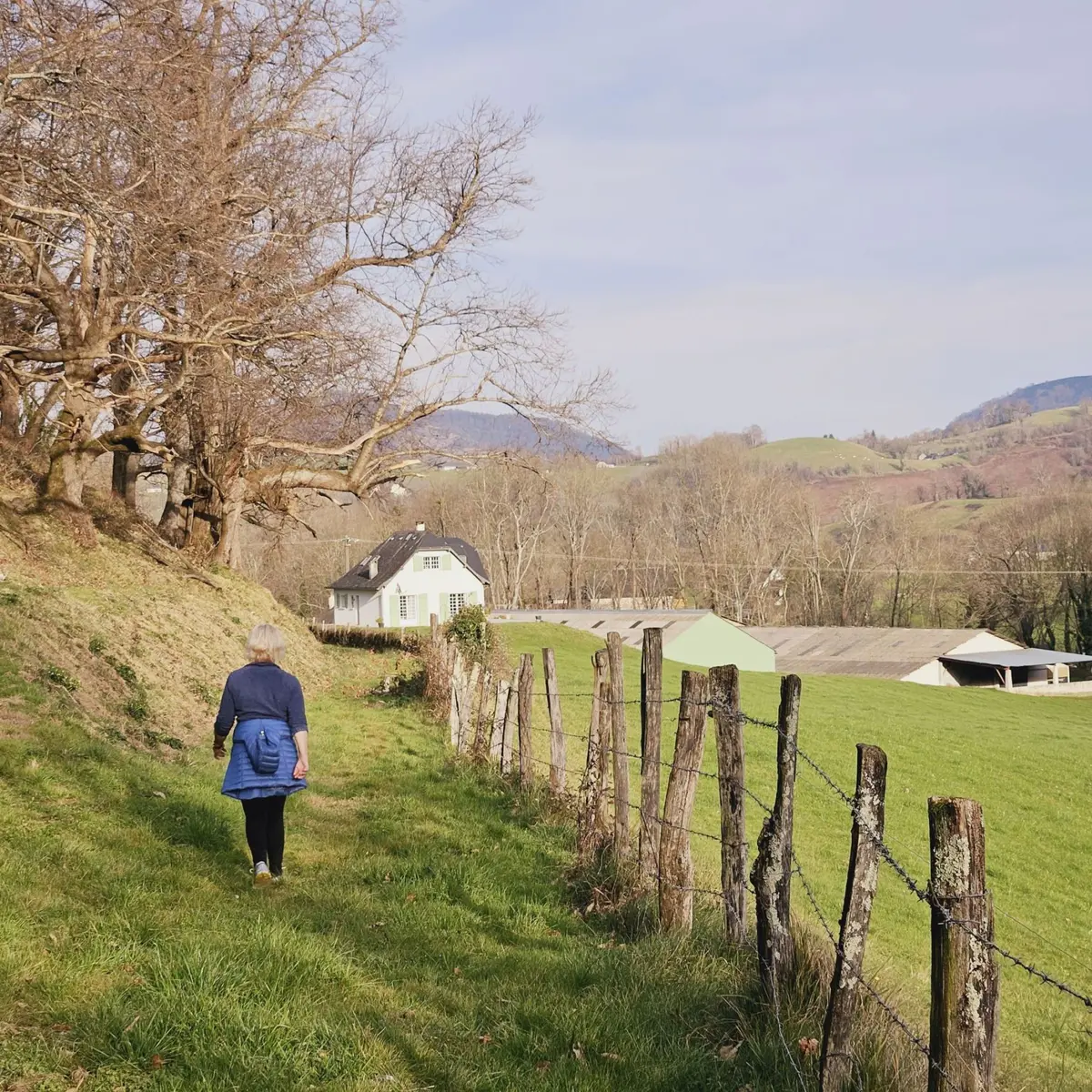 N°18 - Le chemin de la transhumance