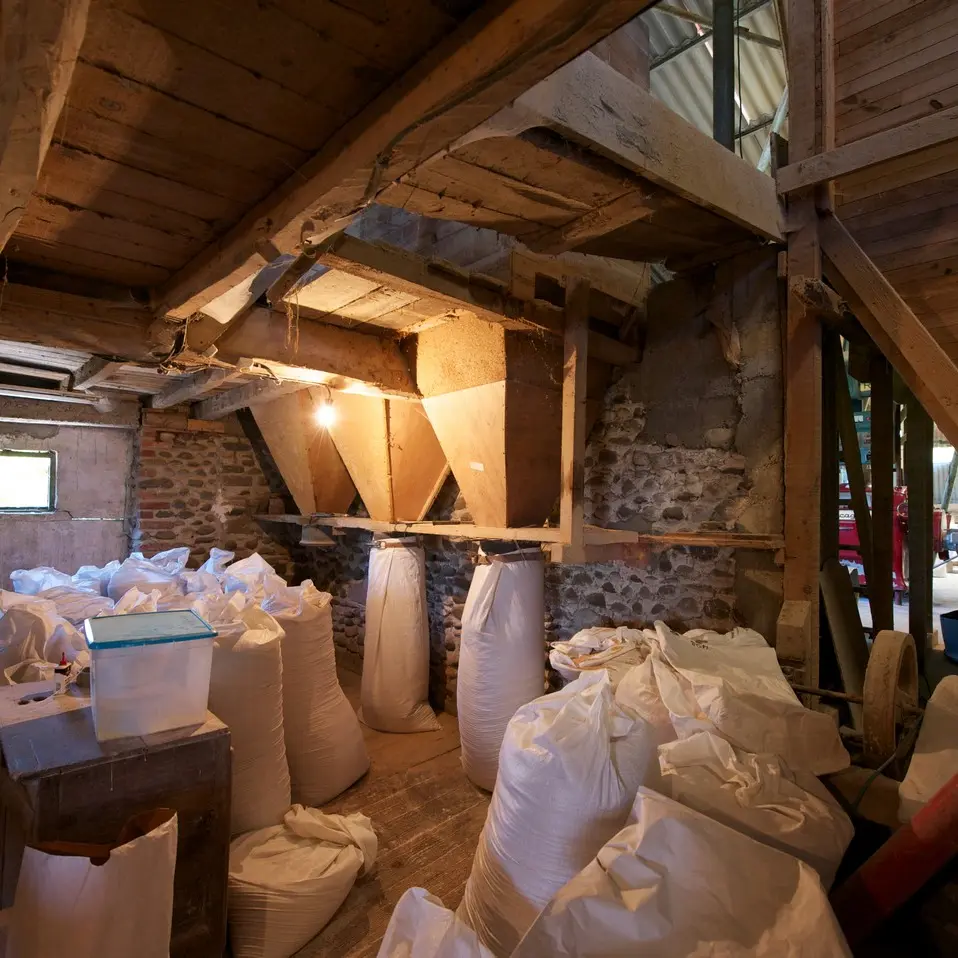 Le Moulin de Saint-Pe-de-Leren