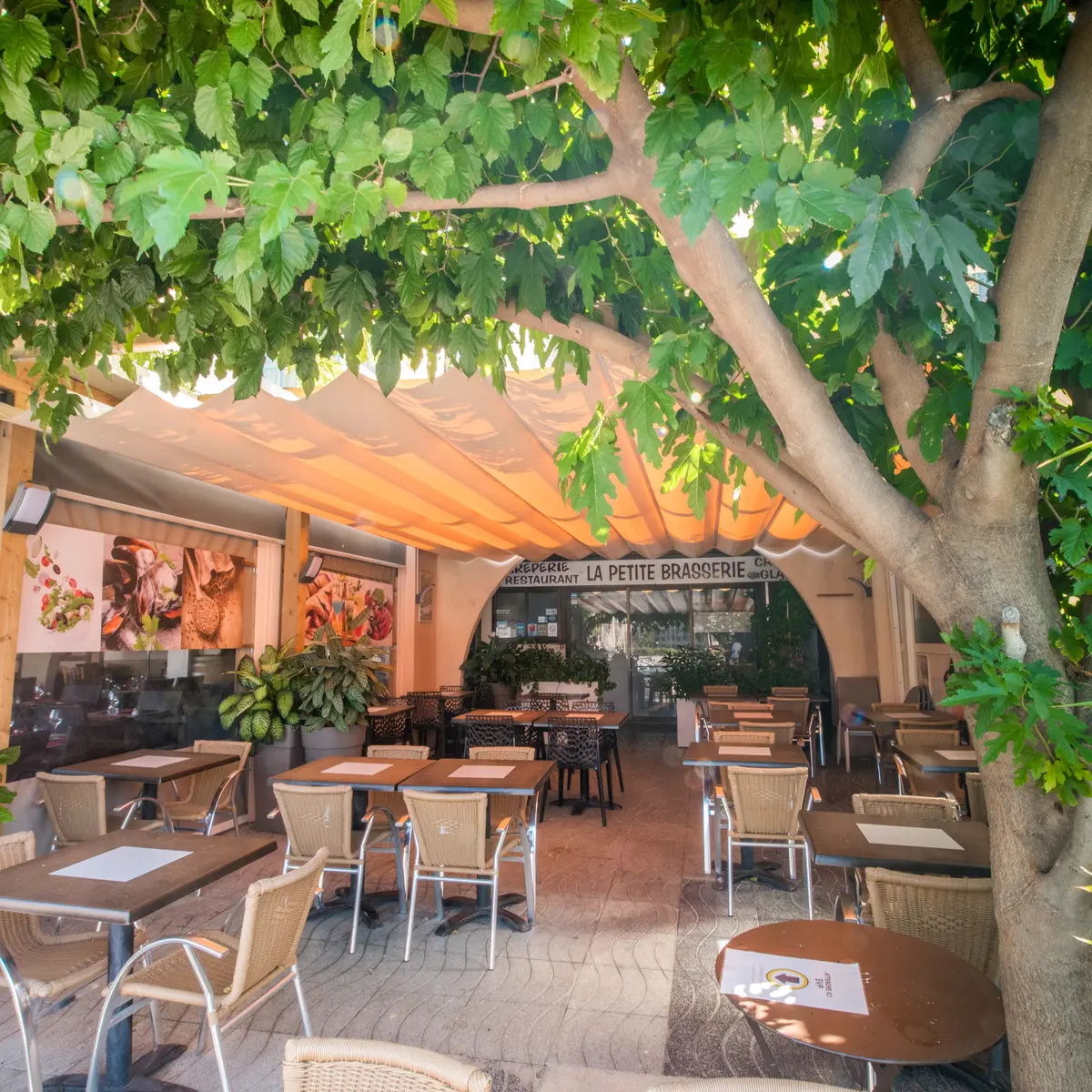 FRANCE - ARGELES SUR MER - RESTAURANT - LA PETITE BRASSERIE