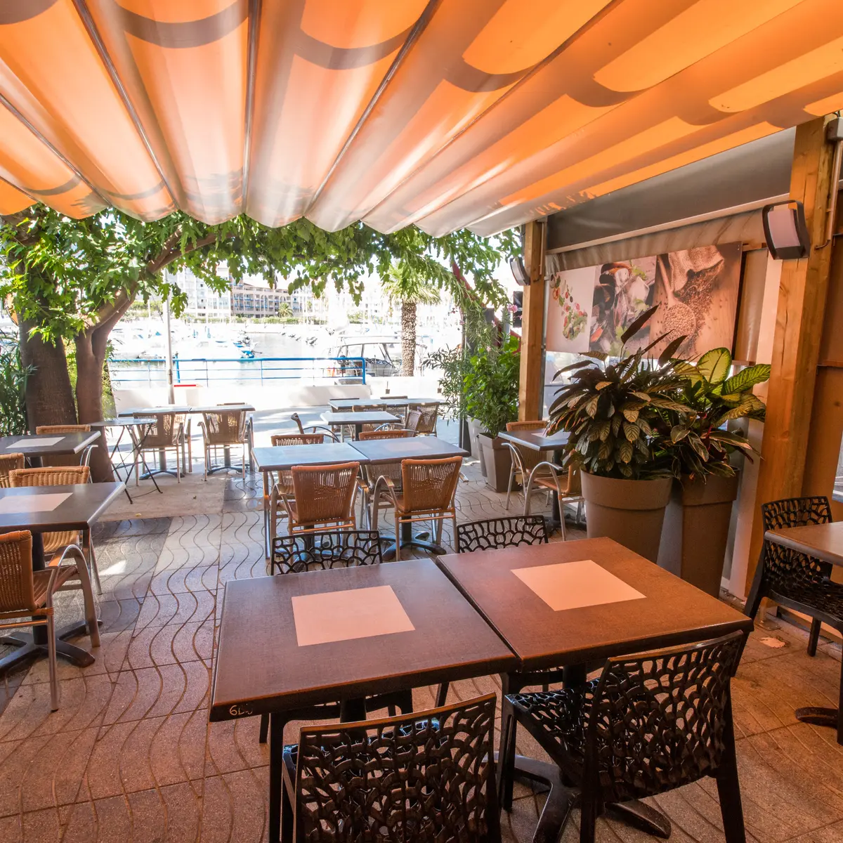 FRANCE - ARGELES SUR MER - RESTAURANT - LA PETITE BRASSERIE