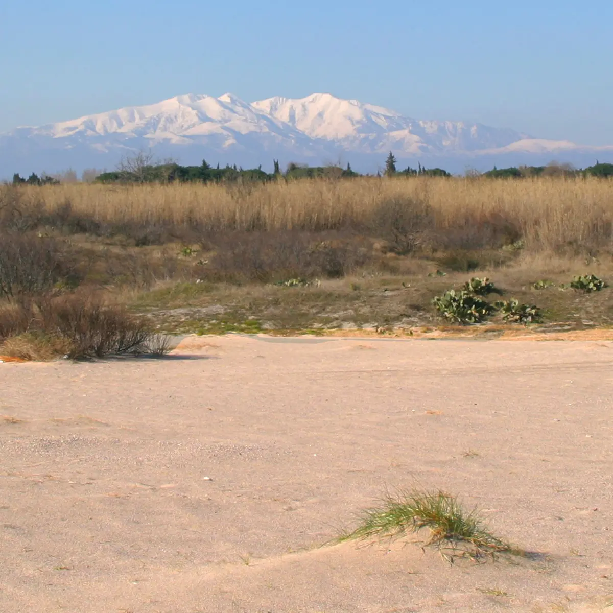 SENTIER DU LITTORAL 2