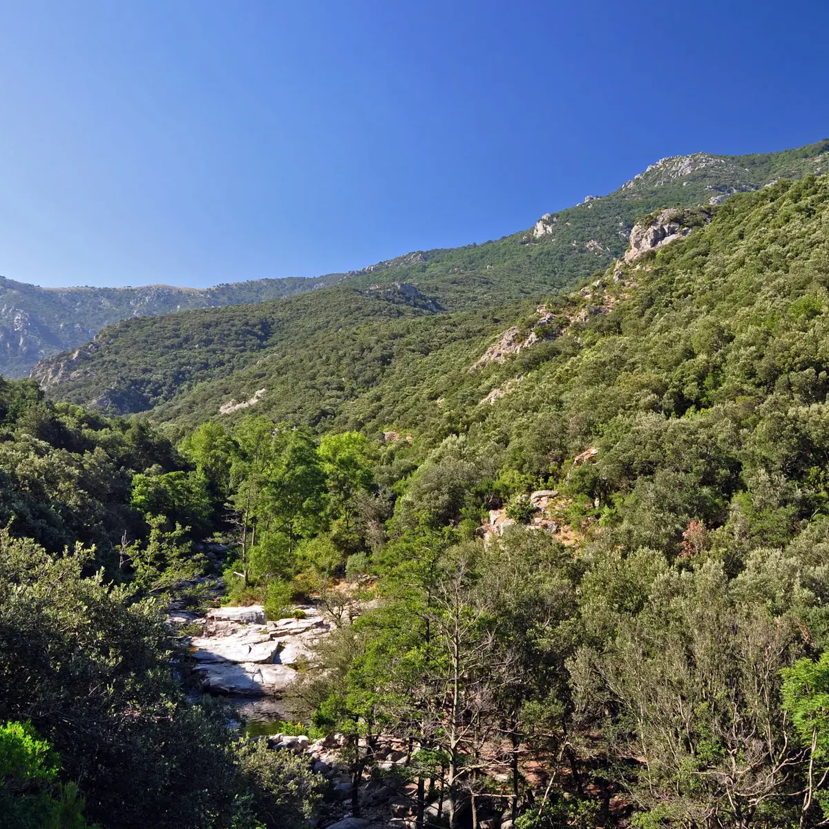 Argeles Rando orge riviere de la Massane Lavall