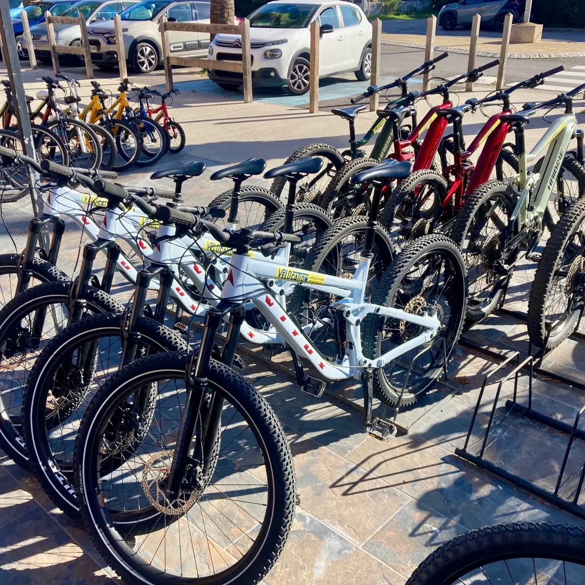 VELOCATION