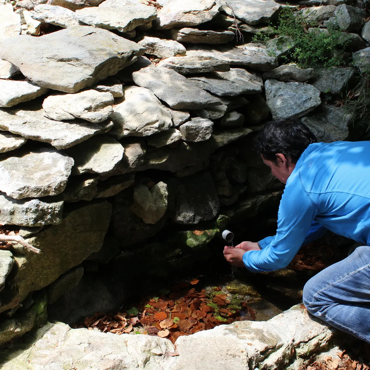 Argelès- Randonnée la transfrontaliere source de la Massane